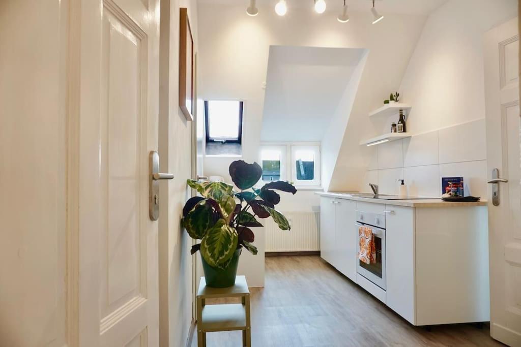 Neu I Moderne Zentrale Wohnung I Netflix I 4 Gaeste Andernach Zewnętrze zdjęcie